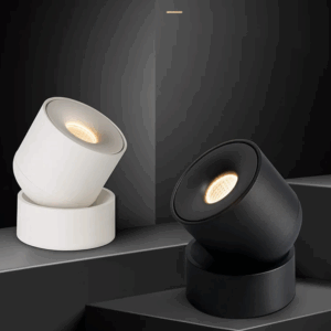 Plafonnier noir spot lumineux Led réglable