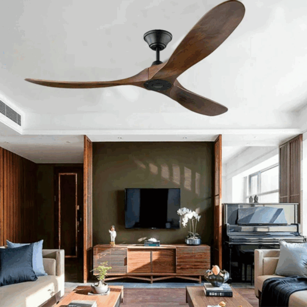 Ventilateur de plafond intérieur/extérieur hju 2025 06 06T092547.410