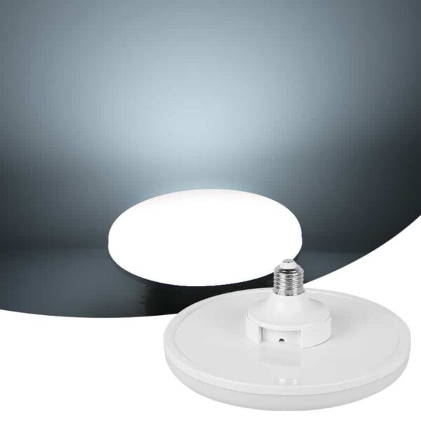 Ampoule LED super brillante 50W 220V sur fond gris et blanc